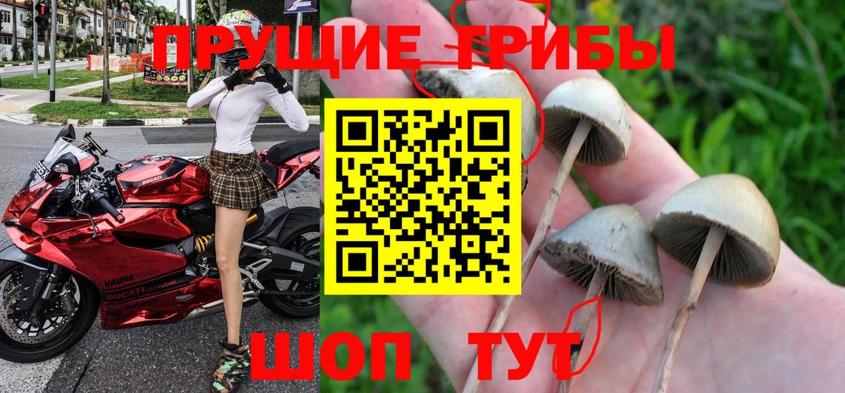 Галлюциногенные грибы мухоморы Фурманов